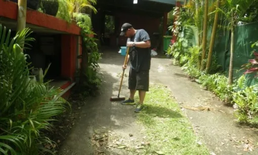 Entreprise pour tous types de travaux de jardinage chez un particulier à Saint Pierre 974, Saint-Joseph, ADSR SUD