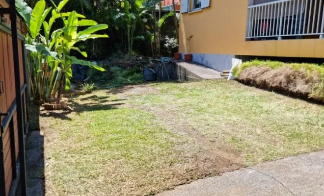 Entretien de jardin, Saint-Joseph, ADSR SUD