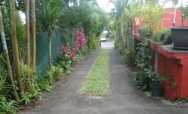 Entretien de jardin, Saint-Joseph, ADSR SUD