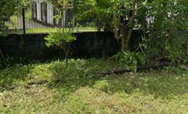 Entretien de jardin, Saint-Joseph, ADSR SUD