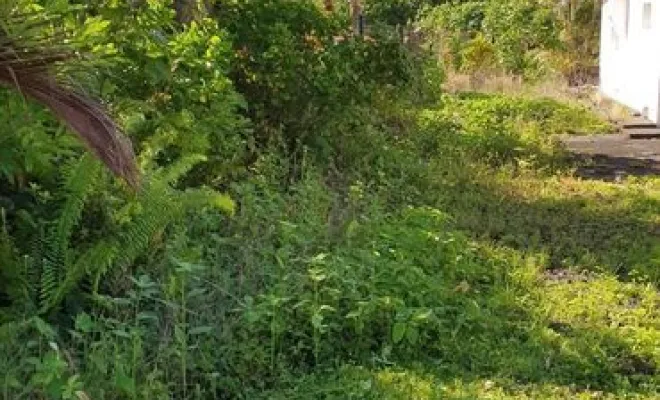 Entretien de jardin, Saint-Joseph, ADSR SUD