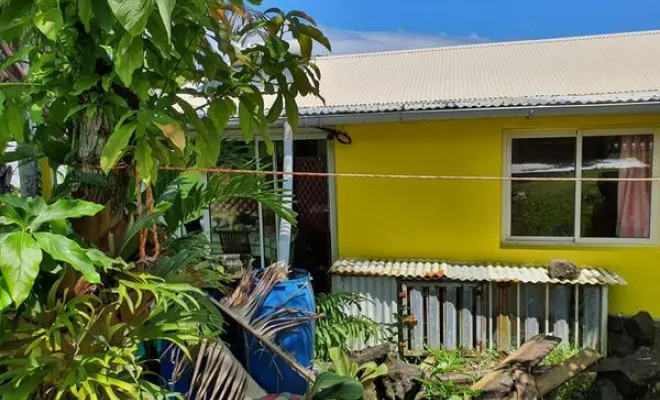 Entretien de jardin, Saint-Joseph, ADSR SUD